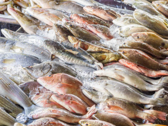 Obaid Khalifa Fish Stall
