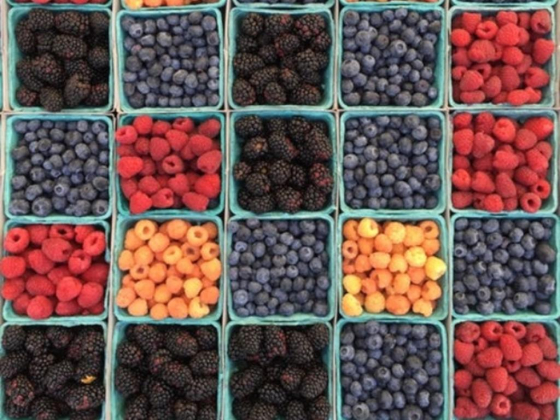 Al Rukn Al Azraq Foodstuff Trading