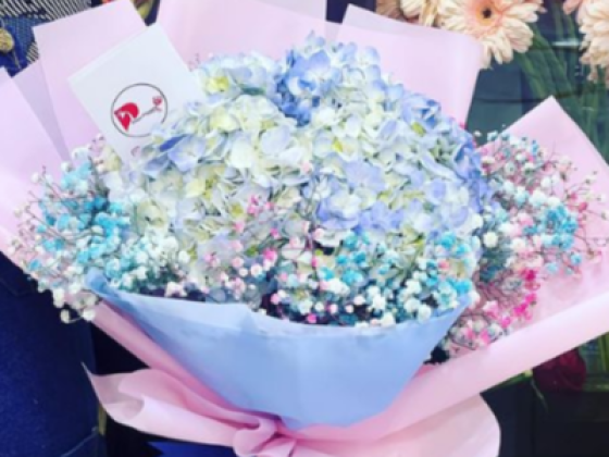 Paon Flowers