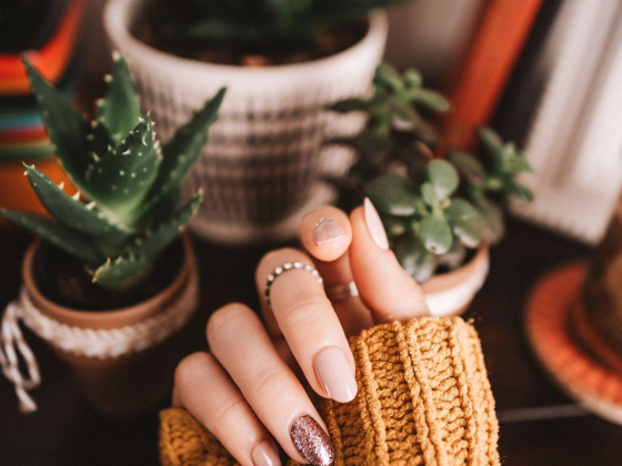 Elite Glam Ladies Salon