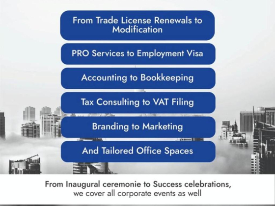 Krezko Corporate Services Provider