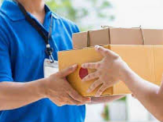 Zae Delivery Services
