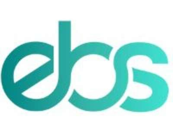Entrepreneurs Business Services