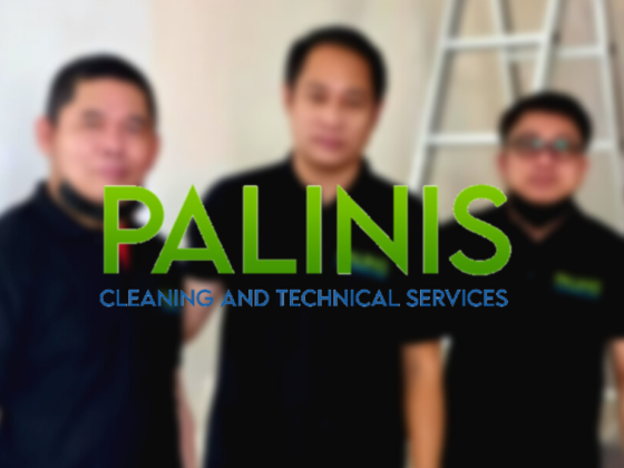 Palinis Cleaning & Technical Services