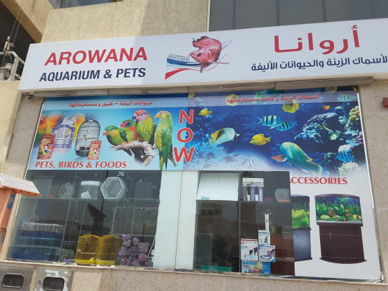 Arowana Pets And Aquarium