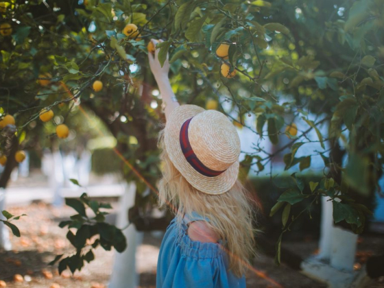 Ways to Get the Most Out of Your Summer