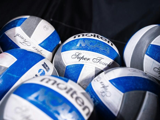 Taziz Camp Volleyball Court 1