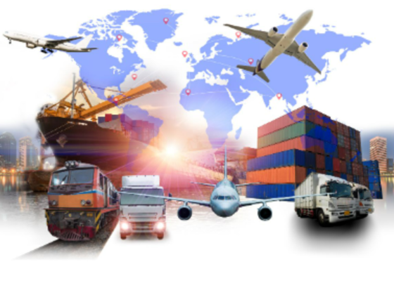 Ozara Shipping L.L.C