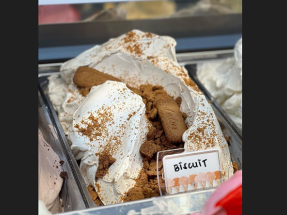Italy Ice Cream L.l.c