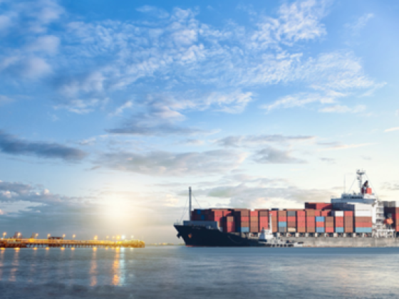 Gulf Navigaton Holdings