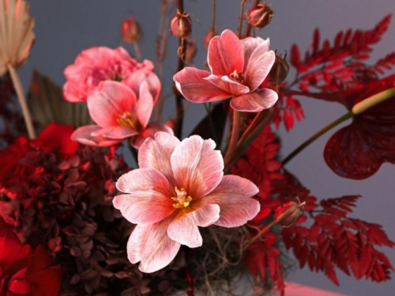 Uplifting Floral Studio