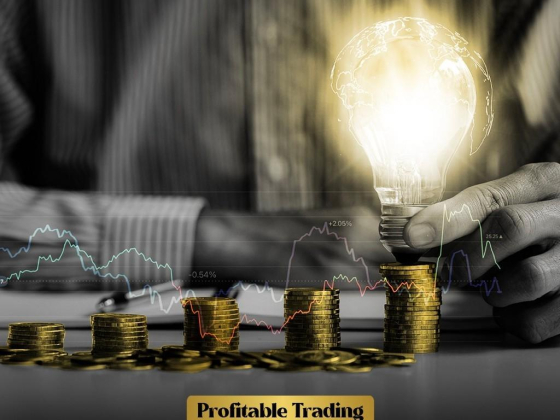 Seven Capitals Foreign Brokerage