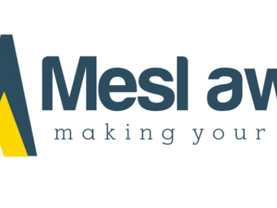 Mesl Awel Management Services
