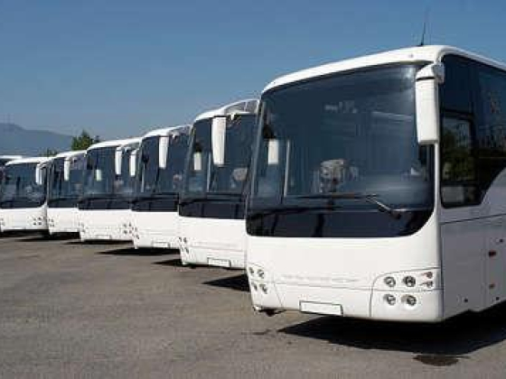 Seven Seas Bus And Car Rental
