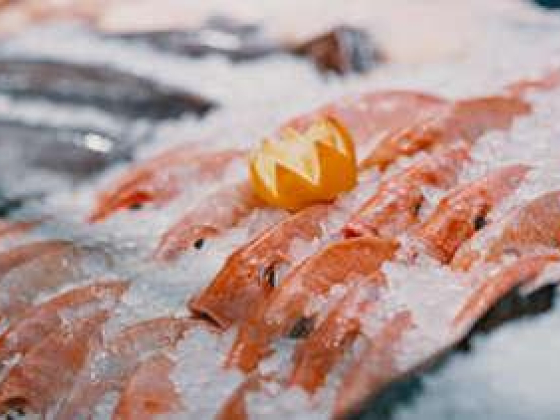 Al Rukn Althameen Fish Trading