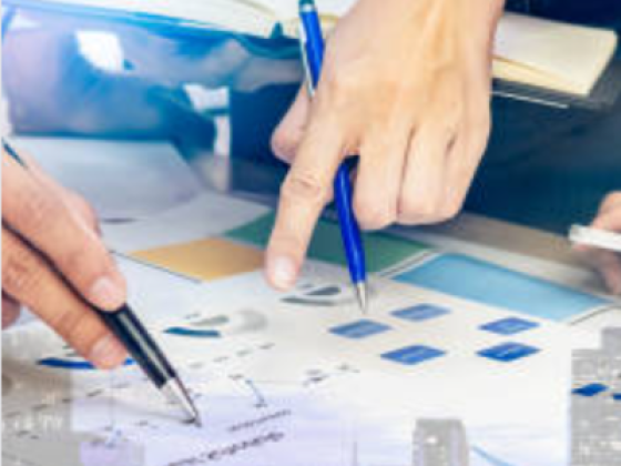 Vibranta Management Consultancy