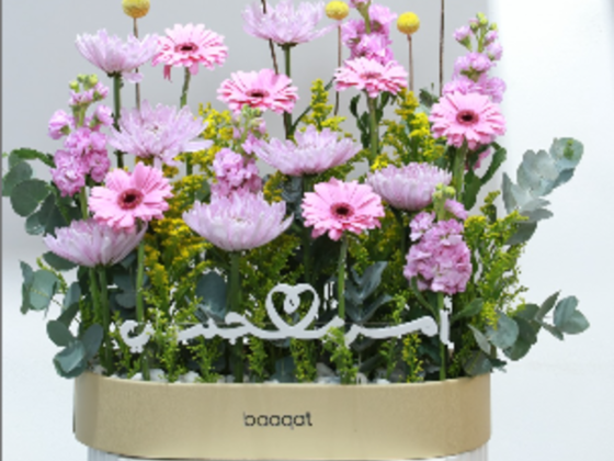 Baaqat