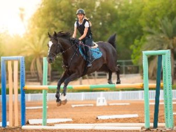 Desert Palm Equestrian Centre