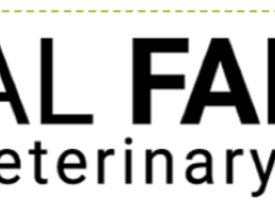 Al Falah Veterinary Clinic Mina br.