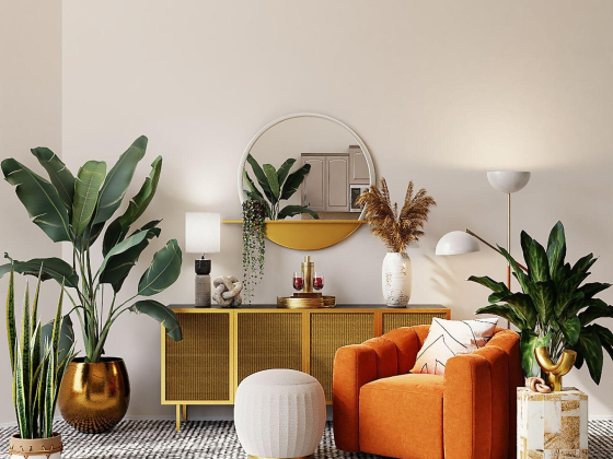 Green Eyes Interior Decoration