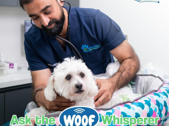 Pawsitive Veterinary Clinic