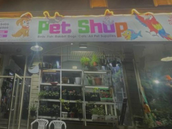 Al Fari Fish & Birds Trading