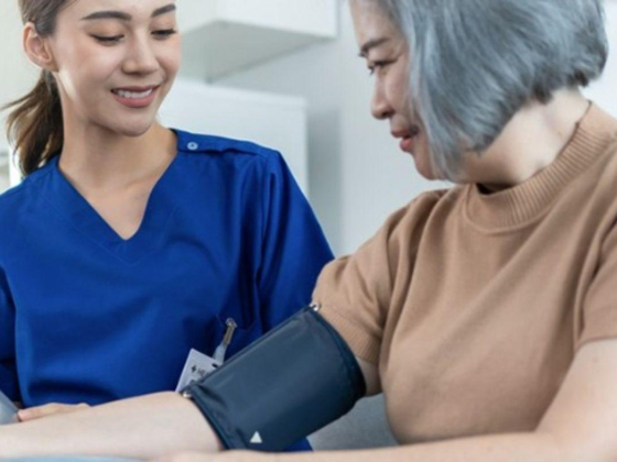 Pyramids Health Services