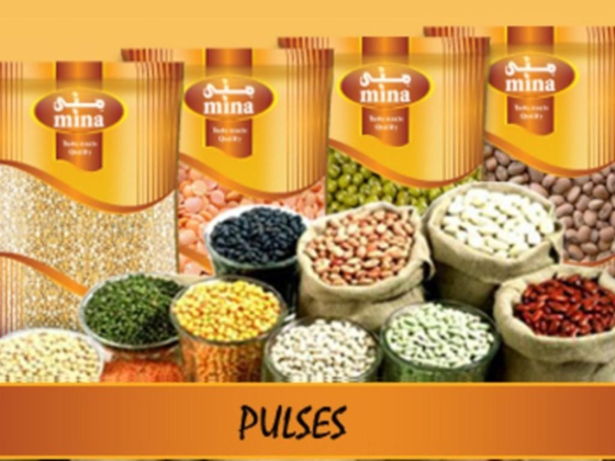 Bab Al Firdous Foodstuff Manufacturing