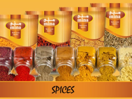 Bab Al Firdous Foodstuff Manufacturing