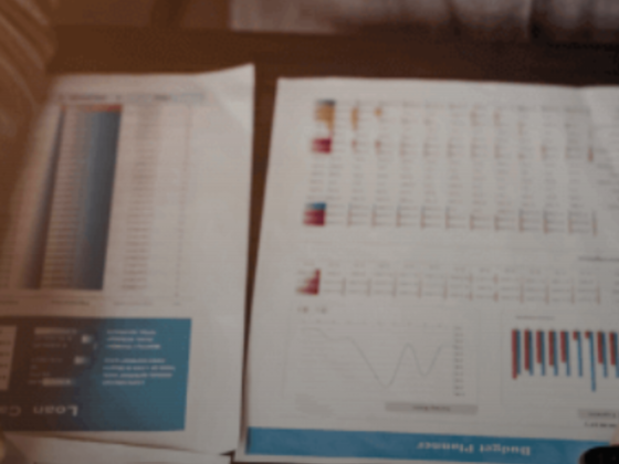 Corporate Auditing