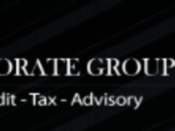 Corporate Auditing