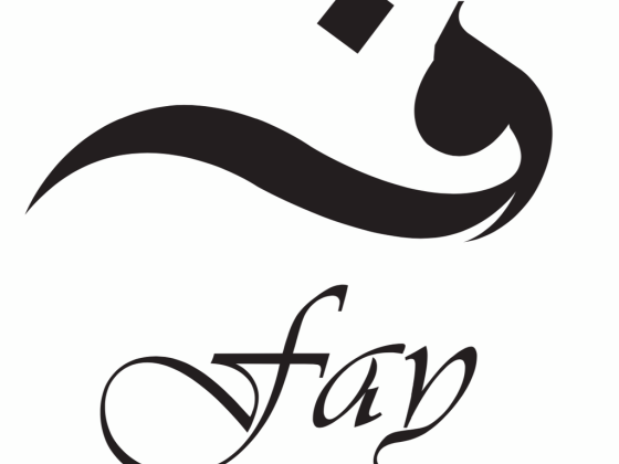Fay Hair Pro