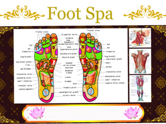 Thai Healing Foot