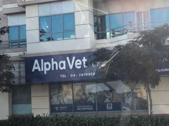 Alpha Vet Clinic