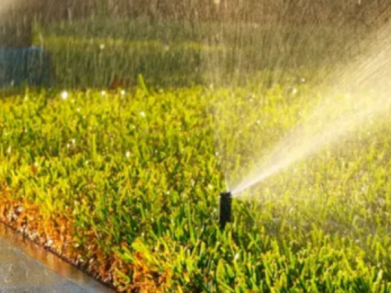 Yathrib Landscaping