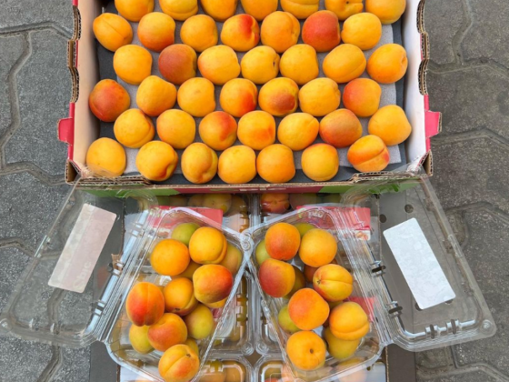 Thimar Al Qarya Fruits Trading