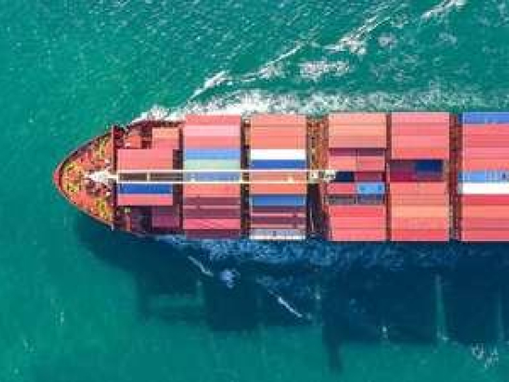 Poriya Hajizadeh Customs Brokers
