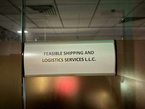 Feasible Shipping And Logistic Services L.l.c
