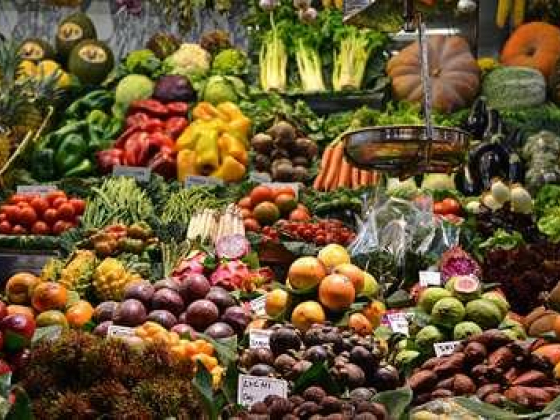 Fresh Yard Fruits And Vegetables Trading