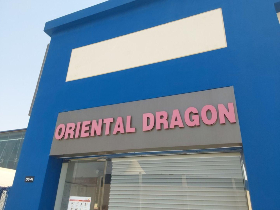 Oriental Dragon Technical Works