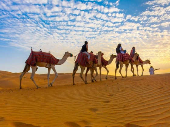 Safaarati Travel & Tourism
