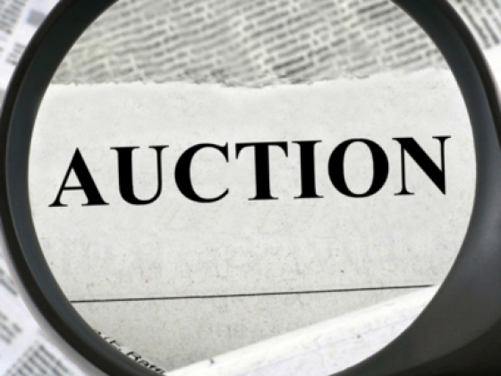 Rabdan Auctions