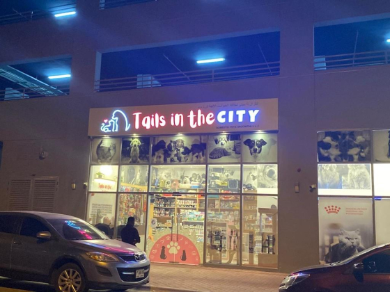 Tails In The City Domestic Pets Grooming