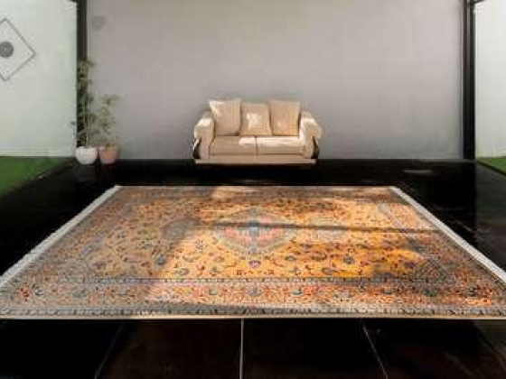 Solomon Carpet Branch