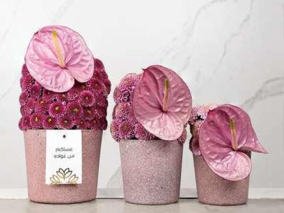Slate By The Fleurist Boutique