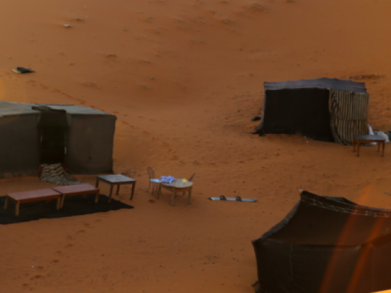 Arooha Tours