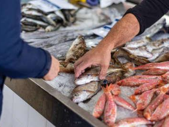 Sultan Rashid Al Ajeem Fish Selling