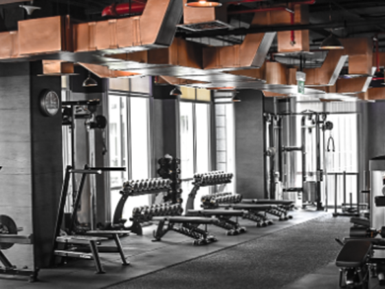 D5 Executive Gym