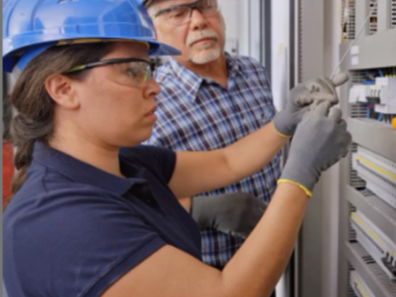 Integrity Project Solutions