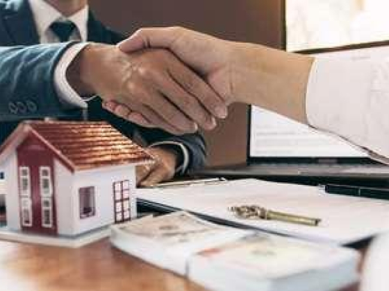 S & V Real Estate Broker
